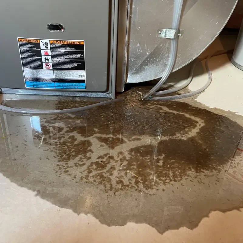 Appliance Leak Cleanup in Greenbrier, AR
