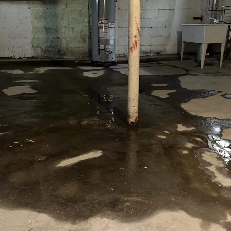 Emergency Water Extraction And Removal in Greenbrier, AR